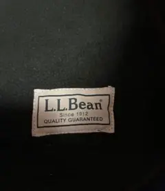 美品L.L.Bean グリーン フリースブランケット裏ナイロン1.8m-1.4mのサムネイル