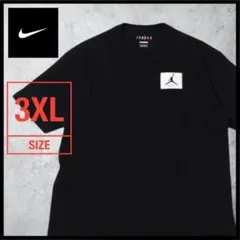 ナイキ×ジョーダン ビッグシルエットオーバーサイズTシャツ　フライト