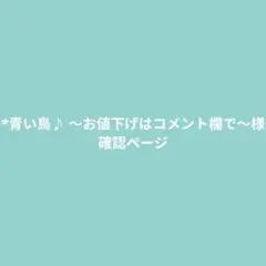 *青い鳥♪ ～お値下げはコメント欄で～様　リクエストまとめ商品