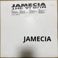 Juelz Santana Back To The Crib 12inchプロモ - メルカリ