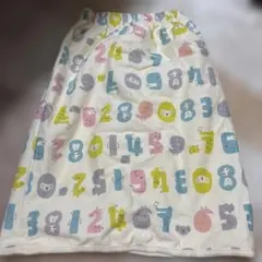 Item thumbnail for item 7089cf4e-54b3-46e4-ba74-ecc4554e978c