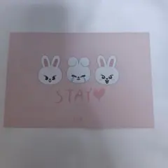 リービット　リノ　まとめ売り straykids スキズ リノ まとめ売り - メルカリ