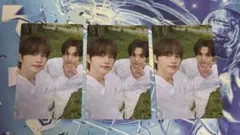 TWS はじめまして ユニバ盤 ウユパンズ トレカ 3枚セット②