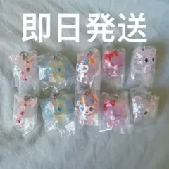 Jewel Pet めじるしアクセサリー コンプセット　ジュエルペット10個