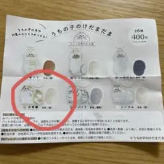 うちの子のけだまだま