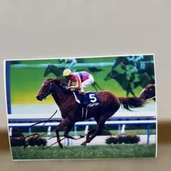 テイエムオペラオー　2000天皇賞春GⅠ A4写真
