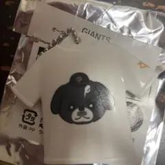 GIANTS 甲斐拓也 10 Tシャツ型キーホルダーオータムくじ