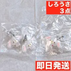 サンリオ ゆるっとめじるしアクセサリー しろうさ 3個セット シュガーバニーズ