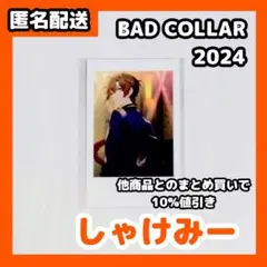 バカラ 2024 無音 トレカ B 2点セット - メルカリ