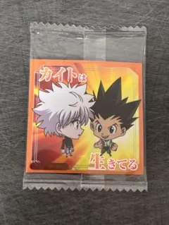 ゴン＆キルア　HUNTER×HUNTER　シール×ウエハース　vol.9