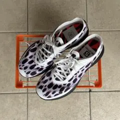 salomon コラボ