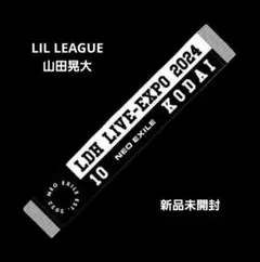 2025年最新】Ldh live expoタオルの人気アイテム - メルカリ