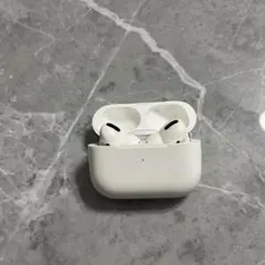 Apple AirPods Pro 本体