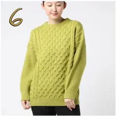 【美品】 6 ROKU 近年モデル ケーブルニットプルオーバー