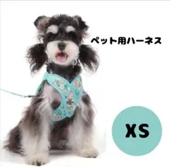 犬 猫 ハーネス リード付き ベスト型 XS ブルー 恐竜柄 おしゃれ 軽量のサムネイル