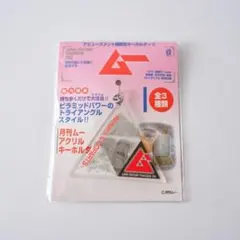 月刊ムー トライアングル アクリルキーホルダー ピラミッドパワー 非売品