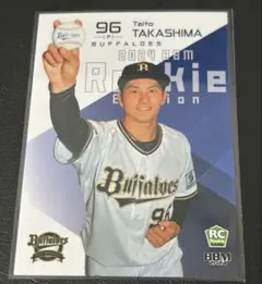 Item thumbnail for item 81ad7094-0bb7-4f03-a6ec-376f8a93fca8