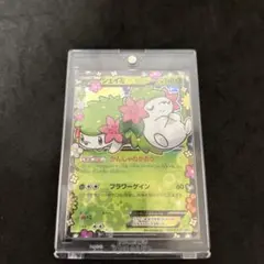 れ*か様 【注目】シャイニーコレクション,ポケキュン, ピカチュウ シェイミ等, ポケモン - ポケモンカード 希少1ED シャイニーコレクション SC