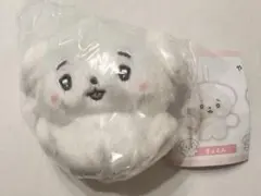 むむたん ガチャ ぬいぐるみ きょとん １点