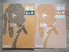2026年最新】予習シリーズ 6年の人気アイテム - メルカリ