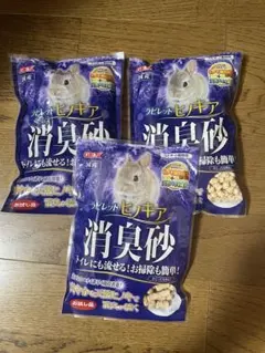 Item thumbnail for item fe260643-b48b-47d4-999d-53eb67cc9f81