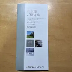 東急不動産　株主優待【500株以上1000株未満】