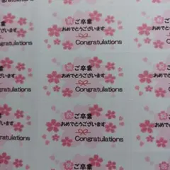 Item thumbnail for item 2f0d3529-ab33-4b6e-b27c-853acc2d9f56