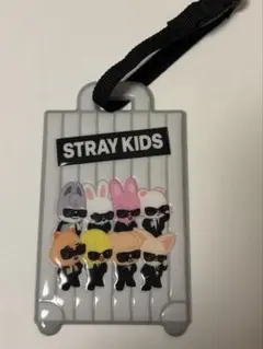 未開封StrayKids RUN IT JAPAN アプグレ 特典 ラゲッジタグ - メルカリ