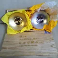 Item thumbnail for item 0025aba1-4afe-4730-aaf3-d519ec7b9de4