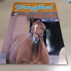Thoroughbred 2004年4月号 社台グループ 競馬雑誌
