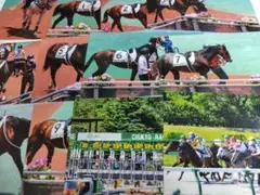中京競馬場 競走馬写真 L判プリント12枚セット