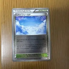 スカイフィールド CP4