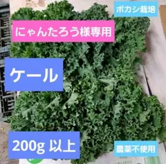 にゃんたろう様専用です！ボカシ栽培の農薬不使用ケール200g
