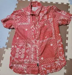 引越し断捨離中！AVIREX　半袖シャツ