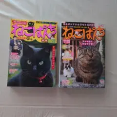ねこぱんち 　2冊まとめ売り
