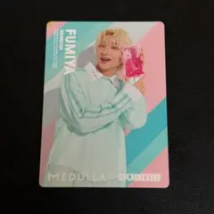 MEDULLA BUDDiiS トレカ FUMIYA