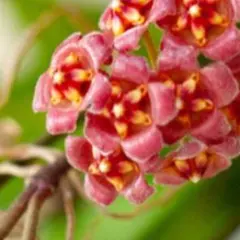 しおり(プロフィール必読)様 リクエスト 2点 まとめ商品