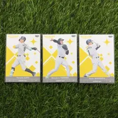 阪神タイガース レギュラーカード 3枚セット 2026 BBM ICONS