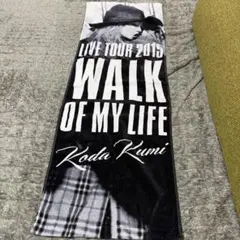 Koda Kumi LIVE TOUR 2015 マフラータオルのサムネイル