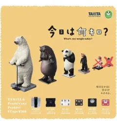 今日は何キロ？ ガチャ