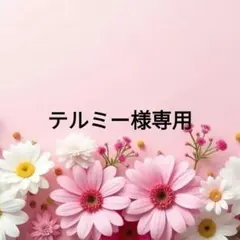 【テルミー様】