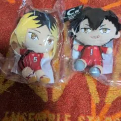 ハイキュー　フリューくじ　ぬいもっち　黒尾鉄朗　孤爪研磨