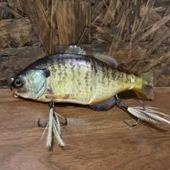 Item thumbnail for item bc90bf7e-1578-49b4-b7f3-30da9daed122