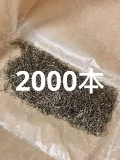 Item thumbnail for item 621e8cc9-d8bd-4bda-89d6-20962ef7668b