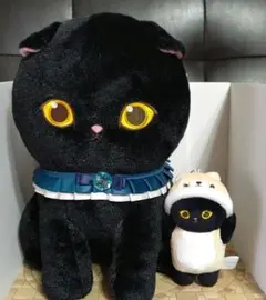 mofusandモフサンド黒仔猫にゃんBIGぬいぐるみ 着ぐるみにゃんマスコット
