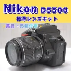 ✨カメラデビューに✨Nikon D5500 Wi-Fi画像転送 すぐ使える 美品