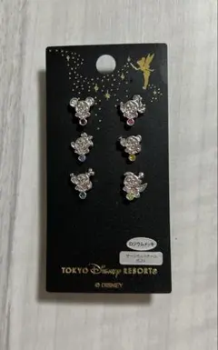 貴重！東京ディズニーリゾート　25周年記念ピアス　6点セット