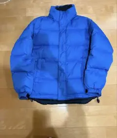 old gap down jacket