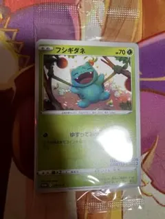 フシギダネ ポケモンカード プロモ