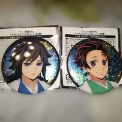 鬼滅の刃 ホログラム缶バッジ 2種セット 竈門炭治郎 冨岡義勇